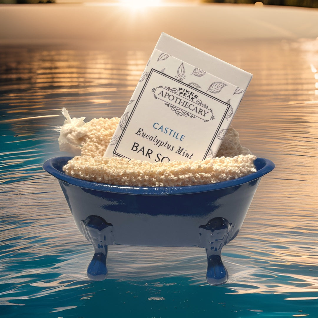 Bathtub Dish & Soap Gift